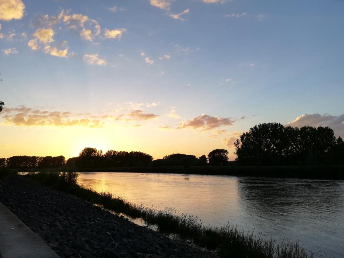 B&B De Stuifduinen Wetteren Bagian luar foto