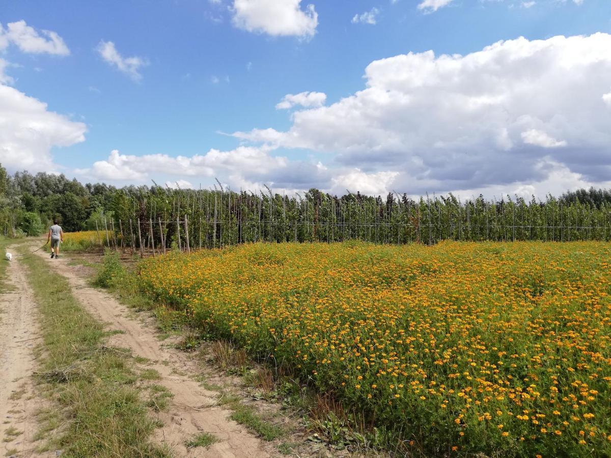 B&B De Stuifduinen Wetteren Bagian luar foto