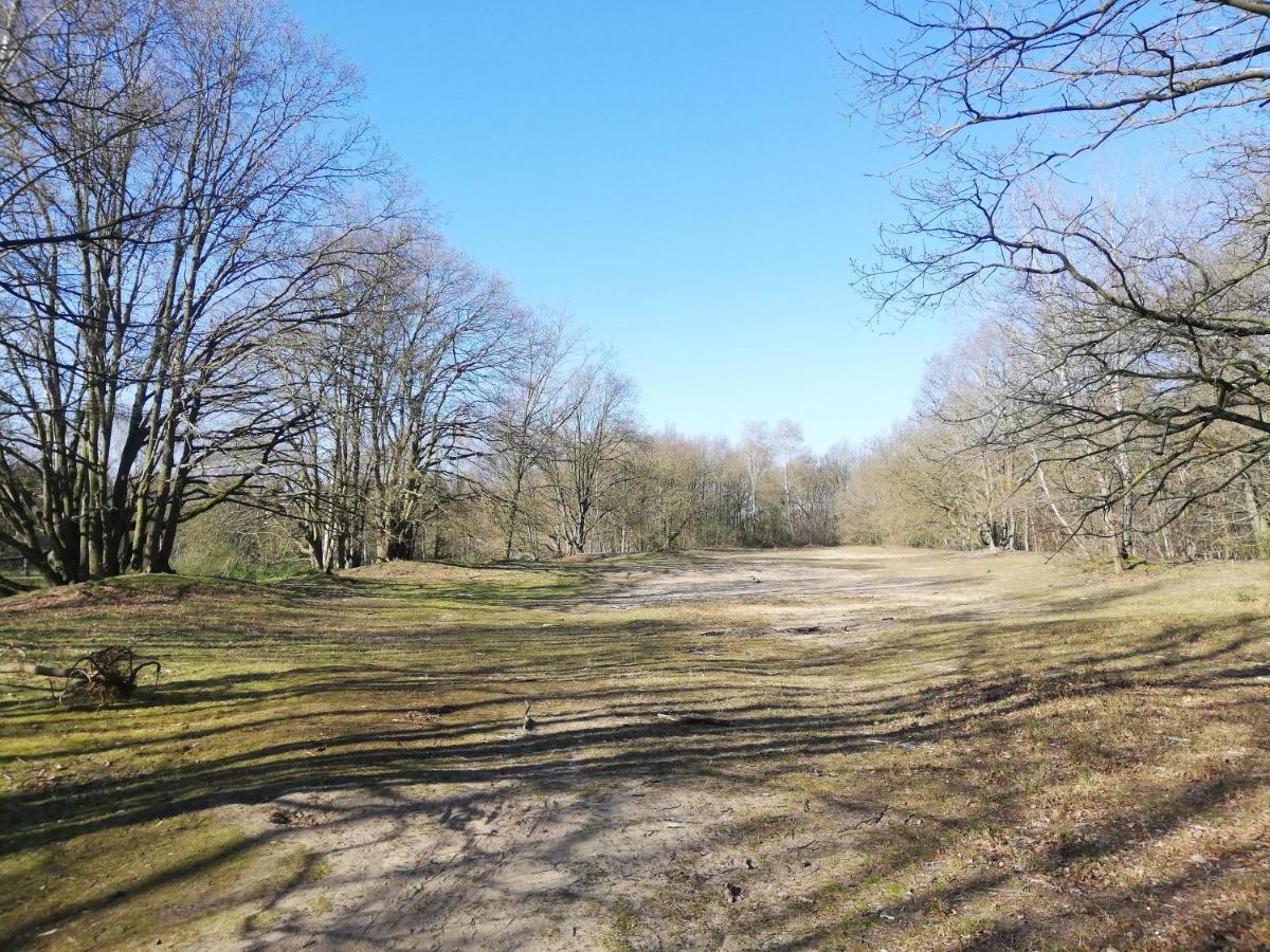 B&B De Stuifduinen Wetteren Bagian luar foto