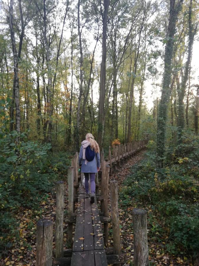 B&B De Stuifduinen Wetteren Bagian luar foto