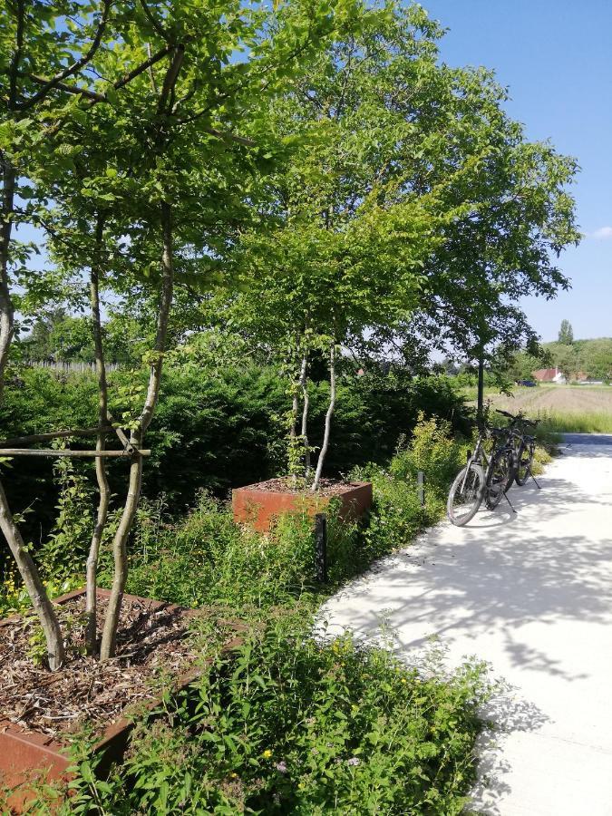 B&B De Stuifduinen Wetteren Bagian luar foto