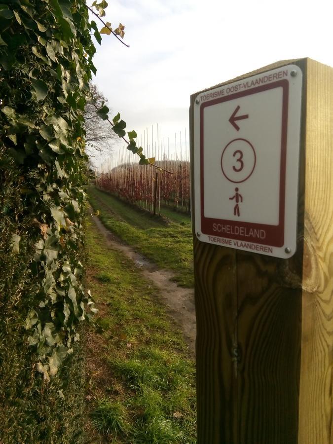 B&B De Stuifduinen Wetteren Bagian luar foto