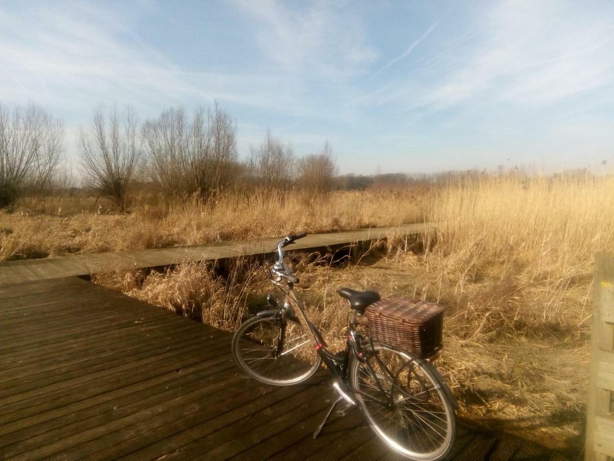 B&B De Stuifduinen Wetteren Bagian luar foto